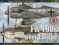 FW 190s Over Europe Part 1