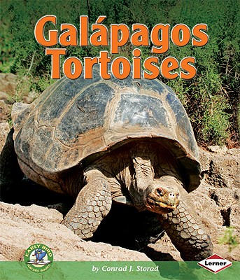 Galapagos Tortoises - Storad, Conrad J