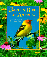 Garden Birds of America