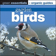 Garden Birds