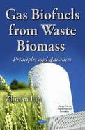 Gas Biofuels from Waste Biomass: Principles & Advances