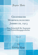 Gegenbaurs Morphologisches Jahrbuch, 1913, Vol. 47: Eine Zeitschrift Fr Anatomie Und Entwicklungsgeschichte (Classic Reprint)