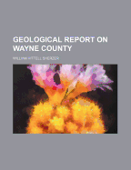 Geological Report on Wayne County