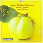 Georg Philipp Telemann: Trios & Quartets