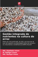 Gesto integrada de nutrientes na cultura do arroz