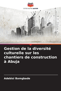 Gestion de la diversit culturelle sur les chantiers de construction  Abuja