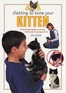 Getting to Know Your Kitten