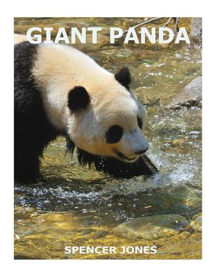 Giant Panda - Jones, Spencer