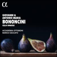 Giovanni & Antonio Maria Bononcini: Cello Sonatas - Accademia Ottoboni; Marco Ceccato (conductor)