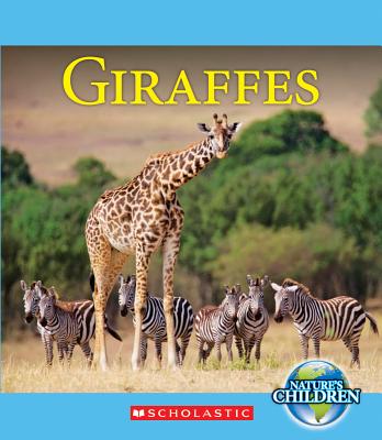 Giraffes - Raatma, Lucia