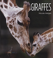 Giraffes