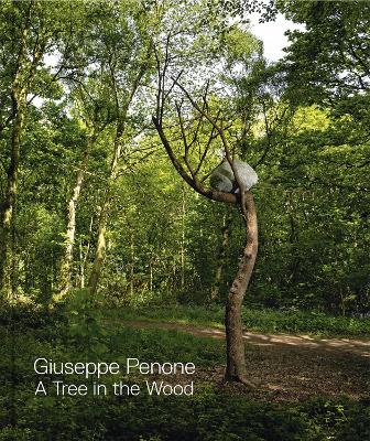 Giuseppe Penone: A Tree in the Wood - Gayford, Martin