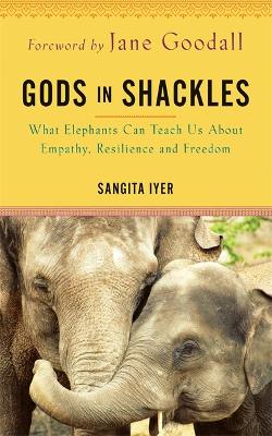 Gods in Shackles: What Elephants Can Teach Us About Empathy, Resilience and Freedom - Iyer, Sangita