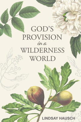 God's Provision in a Wilderness World - Hausch, Lindsay