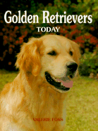 Golden Retrievers Today