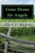 Gone Home for Angels: A Novel of the American Civil War