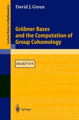 Grbner Bases and the Computation of Group Cohomology - Green, David J.