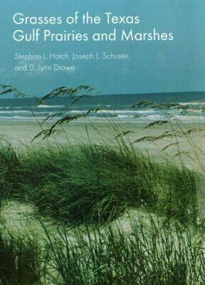 Grasses of the Texas Gulf Prairies and Marshes: Volume 24 - Hatch, Stephan L, and Schuster, Joseph L, and Drawe, D Lynn