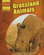 Grassland Animals