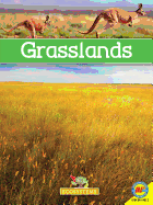 Grasslands with Code