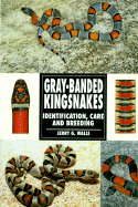 Gray Banded Kingsnakes