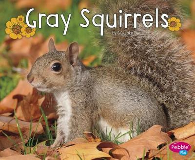 Gray Squirrels - Lake, G G