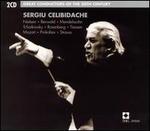 Great Conductors of the 20th Century, Vol. 39: Sergiu Celibidache - Sergiu Celibidache (conductor)