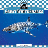 Great White Sharks