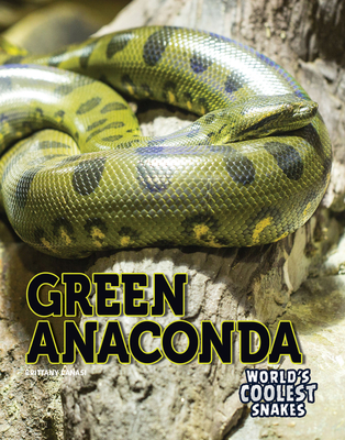 Green Anaconda - Canasi