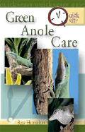 Green Anole Care
