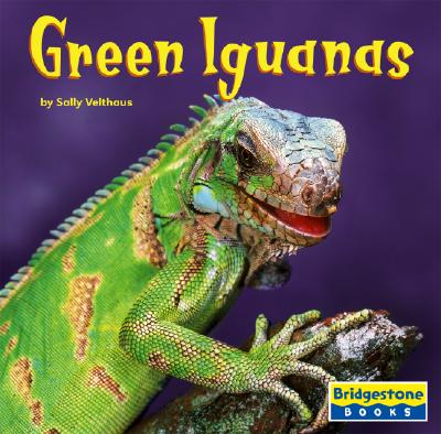 Green Iguanas - Velthaus, Sally