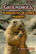 Groundhogs, Woodchucks, and other Marmots