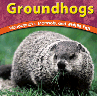 Groundhogs: Woodchucks, Marmots, and Whistle Pigs