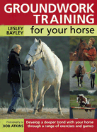Groundwork Training for Your Horse