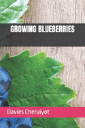 Growing Blueberries