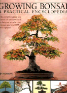 Growing Bonsai: A Practical Encyclopedia: The Complete Guide to a Classic Art with Essential Techniques, Step-By-Step Projects and Over 800 Photographs