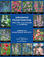 Growing Penstemons