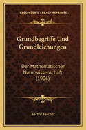 Grundbegriffe Und Grundleichungen: Der Mathematischen Naturwissenschaft (1906)