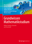 Grundwissen Mathematikstudium: Hohere Analysis, Numerik Und Stochastik