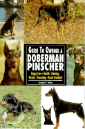 Guide to Own Doberman Pinscher