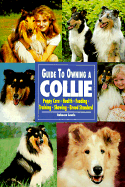 Guide to Owning a Collie