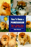 Guide to Owning a Pomeranian