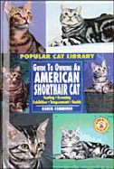 Guide to Owning an American Shorthair Cat