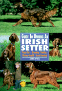 Guide to Owning an Irish Setter