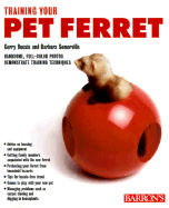 Guide to Training Your Pet Ferret
