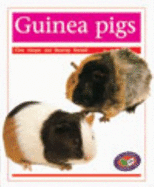 Guinea Pigs