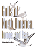 Gulls: Of North America, Europe, and Asia