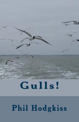 Gulls! - Hodgkiss, Phil