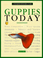 Guppies Today