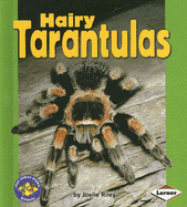 Hairy Tarantulas - Riley, Joelle